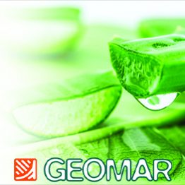geomar logo brand site